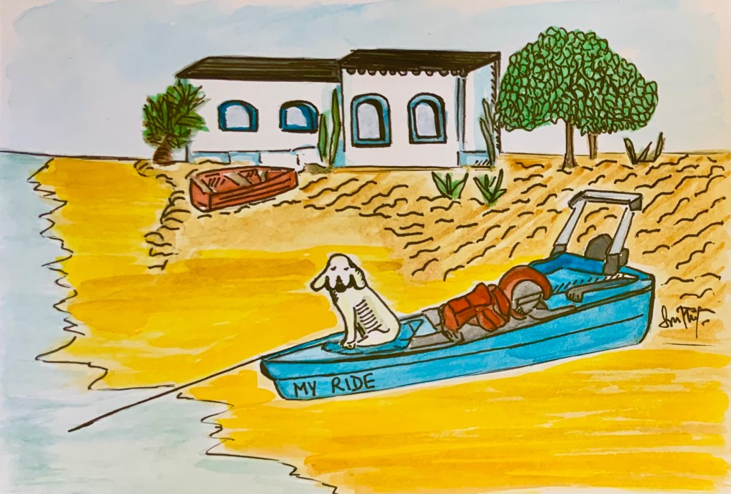 A little friend in&nbsp;Faro